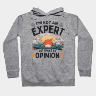 I'm not an expert, but i have an opinion quote Hoodie